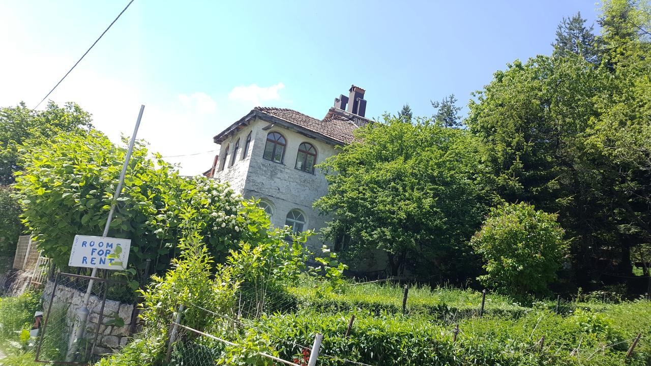 Villa Pandora Mavrovo-Nationalpark Exterior foto