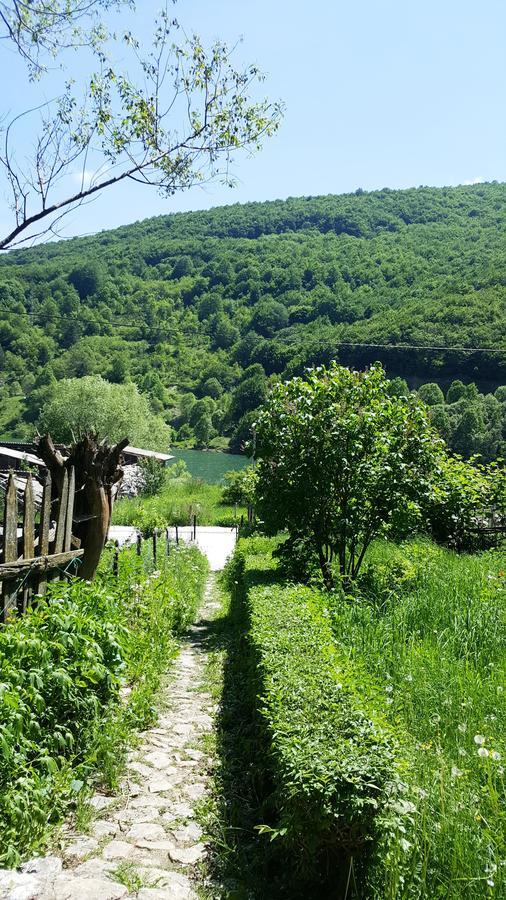 Villa Pandora Mavrovo-Nationalpark Exterior foto
